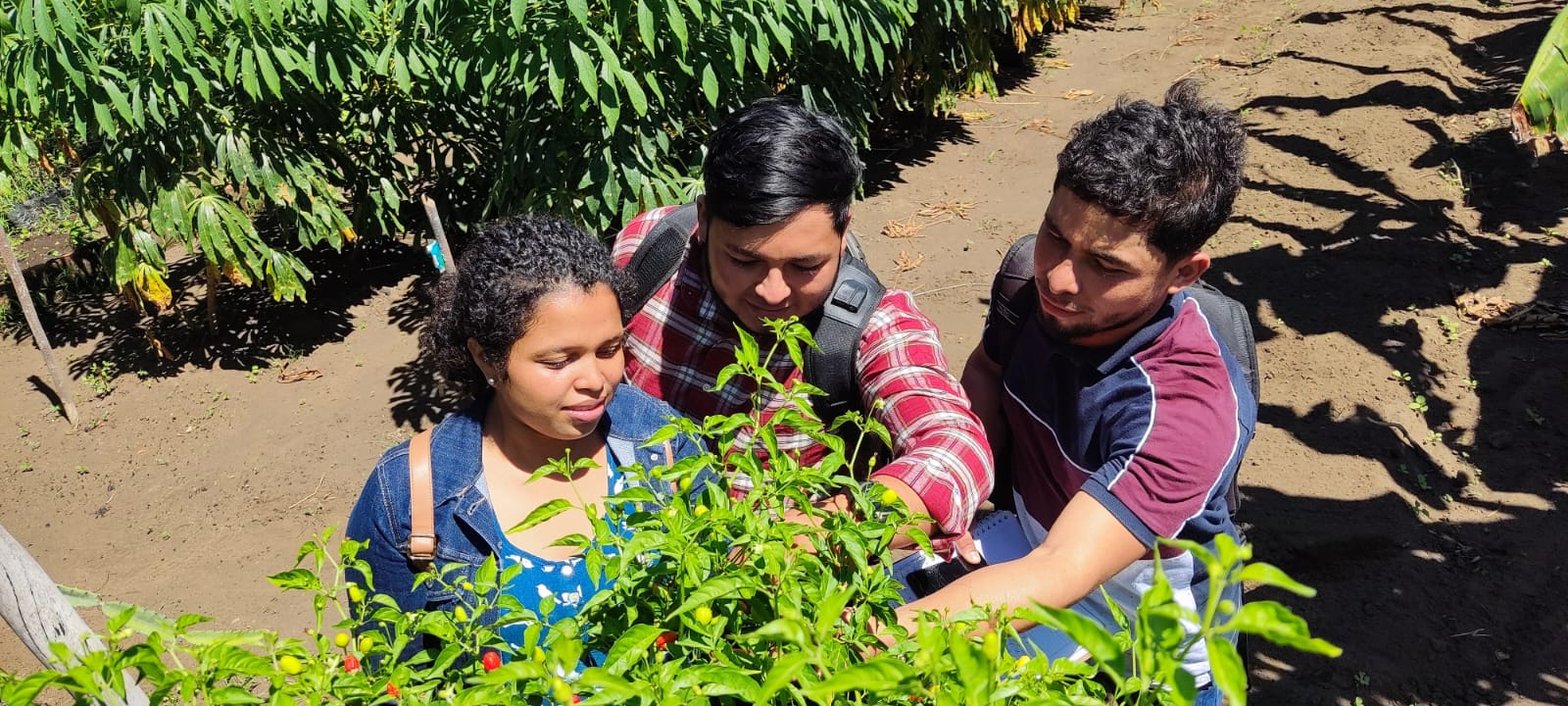 Learning about crop care