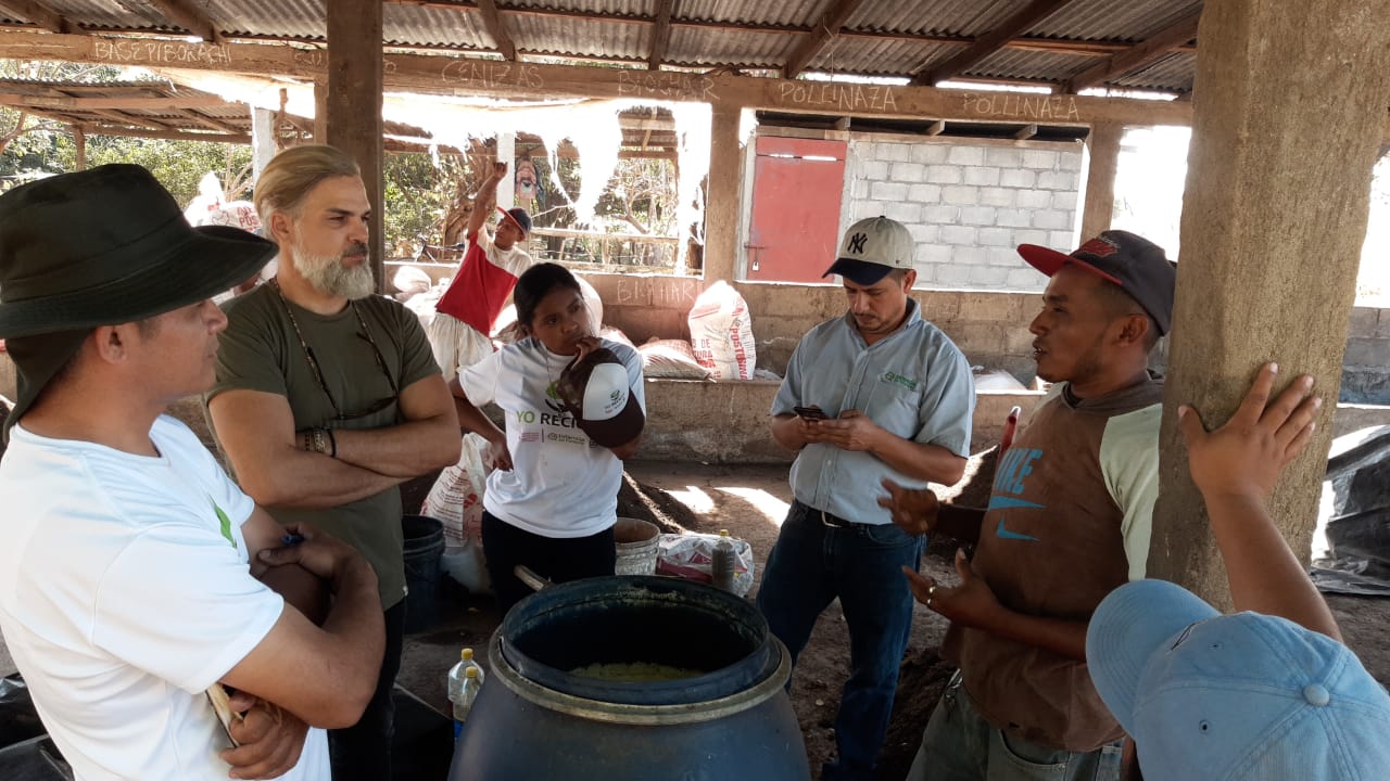 Training session on organic methods