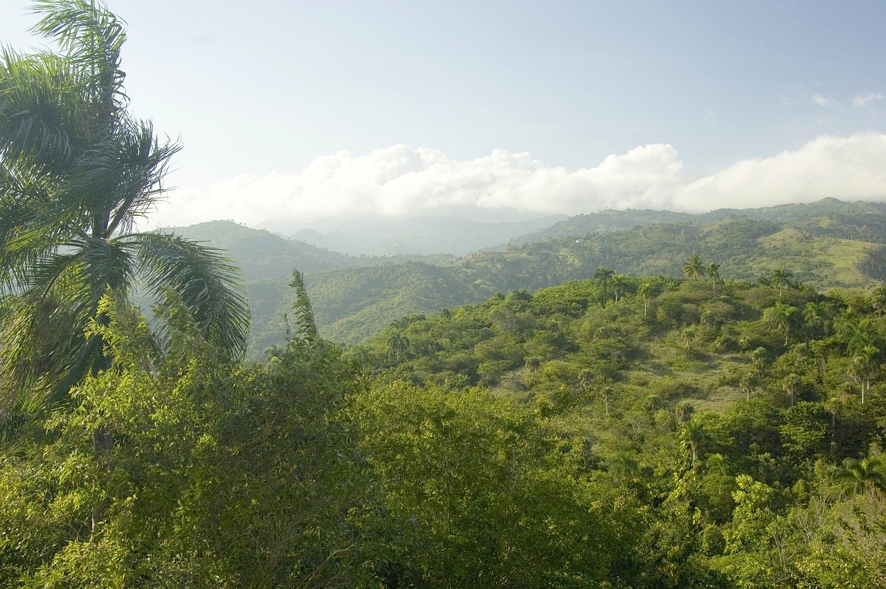 Dominican Republic landscape